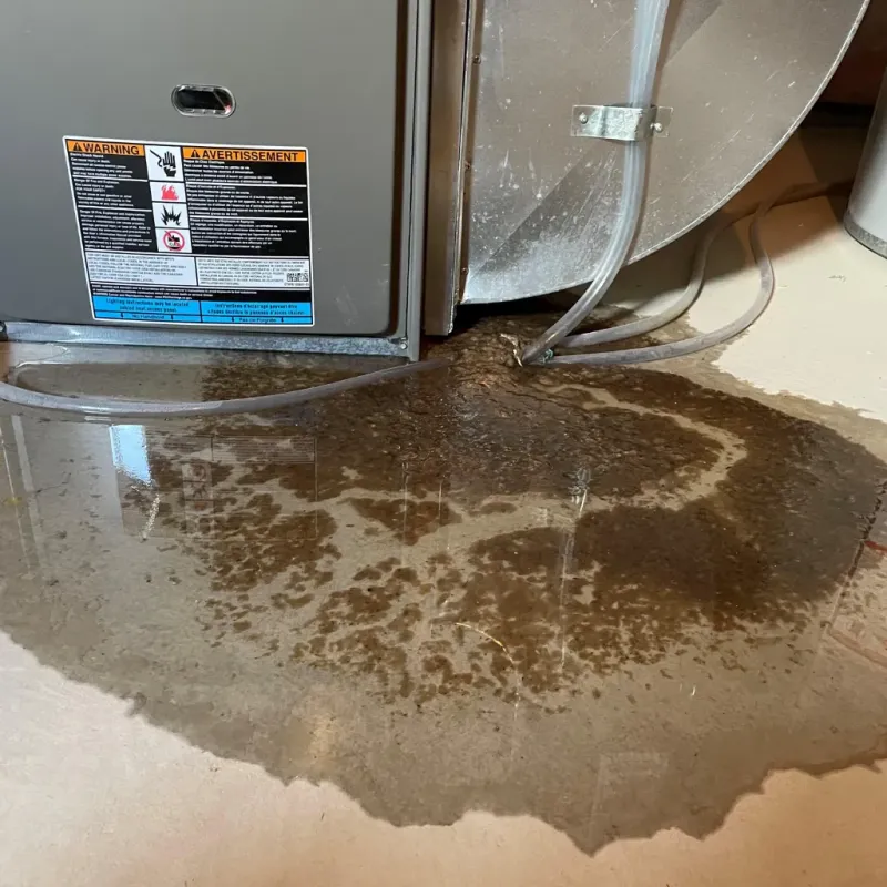 Appliance Leak Cleanup in Moulton, AL